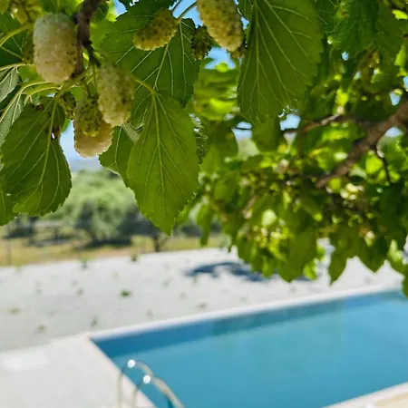 Villa Olive Garden Kremastí