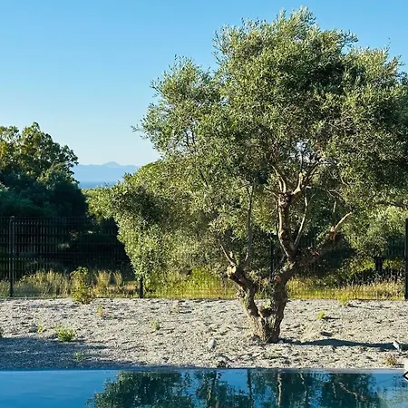Olive Garden Villa Kremastí