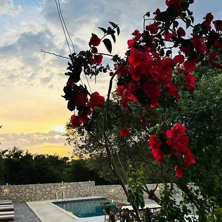 Olive Garden Вилла